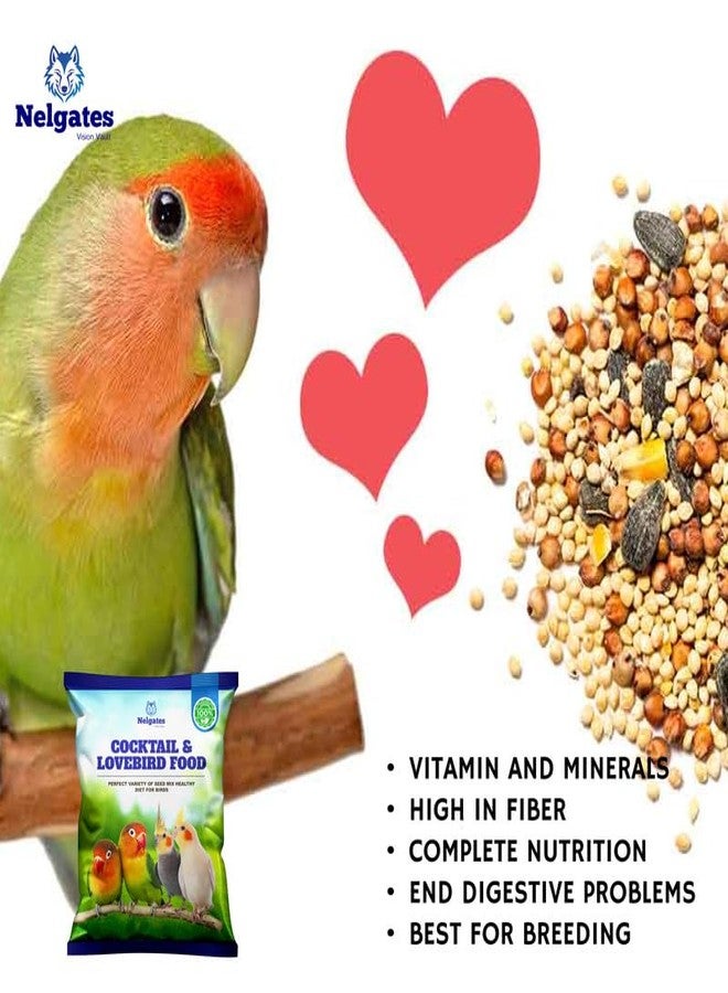 Nelgates Bird Food for Cockatiel & Lovebirds | Premium Mix of Canary Seed, Sunflower Seed & Natural Ingredients | Suitable for All Life Stages 1kg - Image 3
